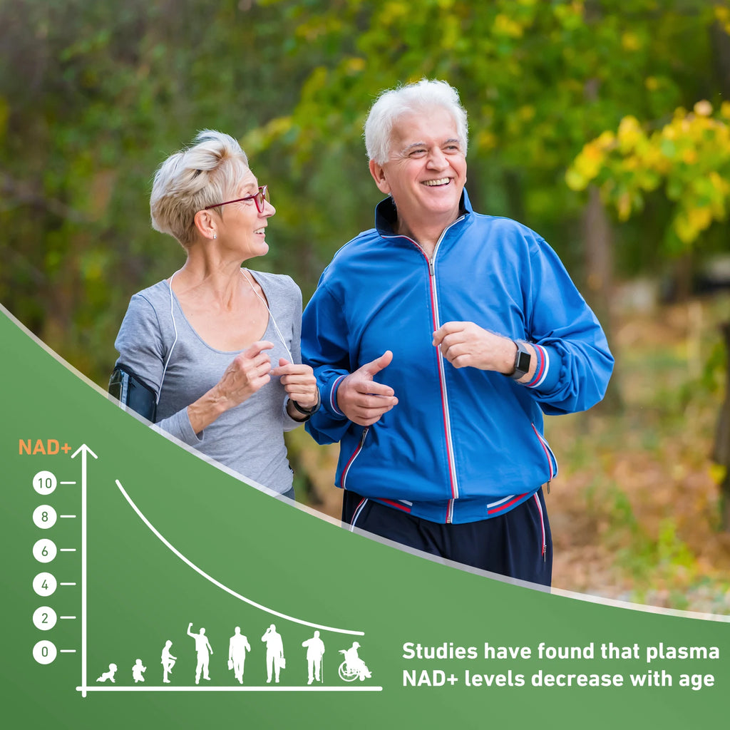 Ae45a9e3c69514ee5bffe98cee3dc4c2fH